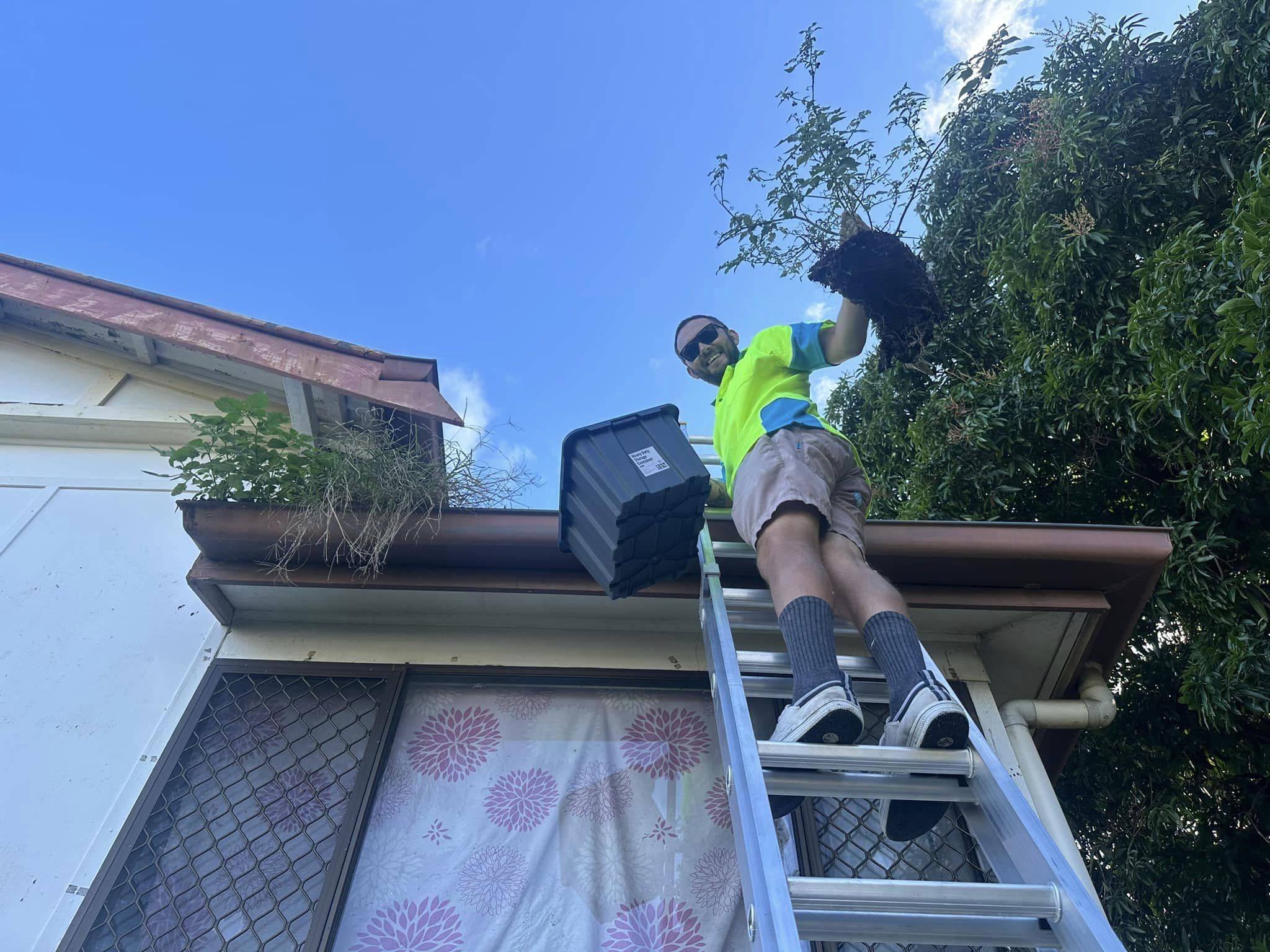 gutter cleaning and roof maintenance