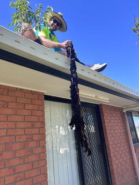 Gutter cleaning