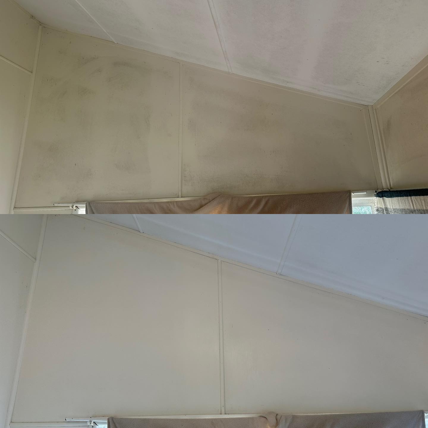 Mould removal experts Rockhampton